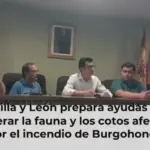 Castilla y León prepara ayudas para recuperar la fauna y los cotos afectados por el incendio de Burgohondo