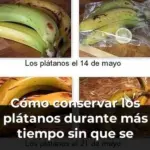 Cómo conservar los plátanos durante más tiempo sin que se pongan negros