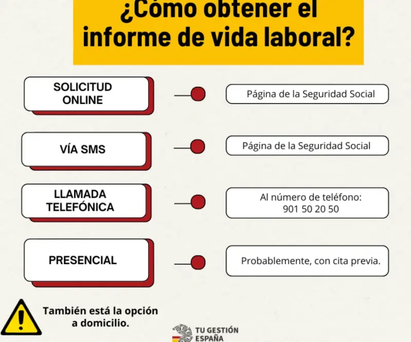 Cómo descargar tu informe de vida laboral en la Seguridad Social paso a paso