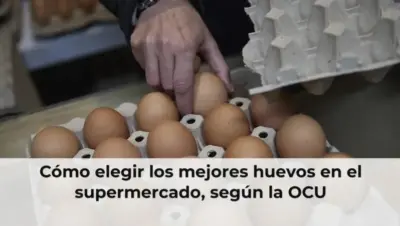 Cómo elegir los mejores huevos en el supermercado, según la OCU