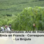 Corresponsales: Año de mala vendimia en Francia - Corresponsales - La Brújula