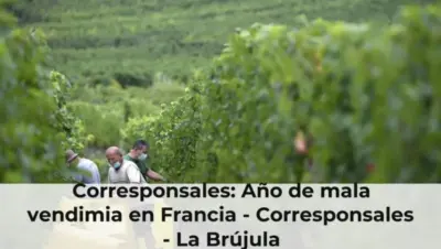 Corresponsales: Año de mala vendimia en Francia - Corresponsales - La Brújula