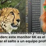 Creativos, diseñadores y fotógrafos coinciden: este monitor 6K es el mejor para dar el salto a un equipo profesional