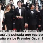 Cuándo ver en cines y plataformas 'La bola negra', la película que representará a España en los Premios Oscar 2027