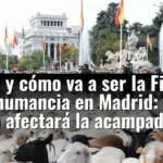 Cuándo y cómo va a ser la Fiesta de la Trashumancia en Madrid: de qué manera afectará la acampada en Sol