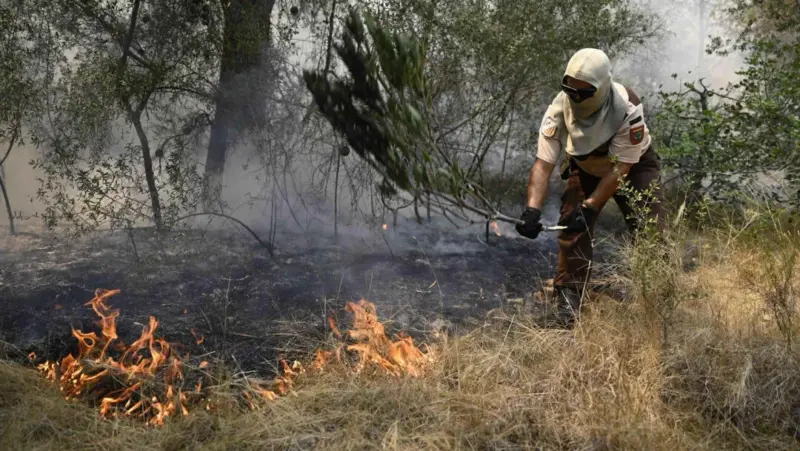 Cuánto cuesta un incendio forestal: el impacto económico que deja el fuego en España más allá de las llamas