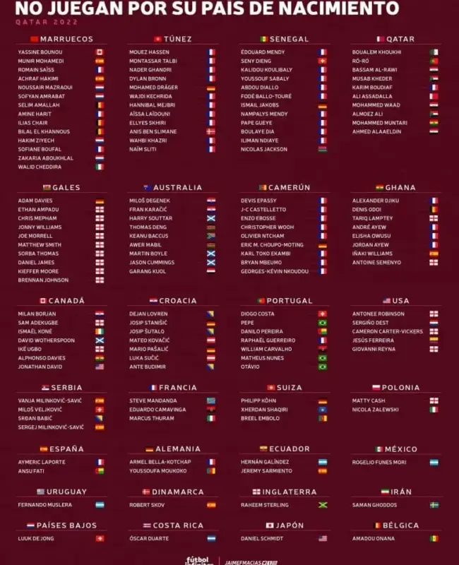 ¿Cuántos jugadores de la selección francesa han nacido en Francia?
