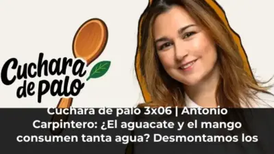 Cuchara de palo 3x06 | Antonio Carpintero: ¿El aguacate y el mango consumen tanta agua? Desmontamos los mitos de la frut
