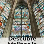 Descubre Malinas la joya medieval de Flandes con obras de Rubens