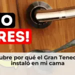 Descubre por qué el Gran Tenedor se instaló en mi cama