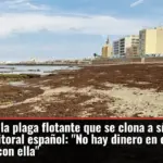 Diez años de la plaga flotante que se clona a sí misma y destruye el litoral español: