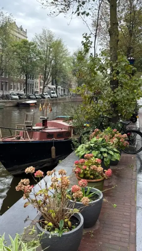 Dónde comer en Ámsterdam: cinco restaurantes y cervecerías recomendados