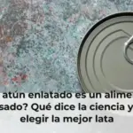 ¿El atún enlatado es un alimento procesado? Qué dice la ciencia y cómo elegir la mejor lata