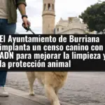 El Ayuntamiento de Burriana implanta un censo canino con ADN para mejorar la limpieza y la protección animal