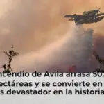 El incendio de Avila arrasa 50.000 hectáreas y se convierte en el más devastador en la historia de España
