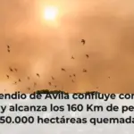 El incendio de Avila confluye con el de Madrid y alcanza los 160 Km de perímetro y 50.000 hectáreas quemadas
