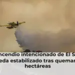 El incendio intencionado de El Saler queda estabilizado tras quemar 37 hectáreas