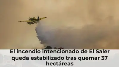 El incendio intencionado de El Saler queda estabilizado tras quemar 37 hectáreas
