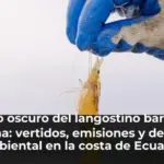 El lado oscuro del langostino barato en España: vertidos, emisiones y desastre ambiental en la costa de Ecuador