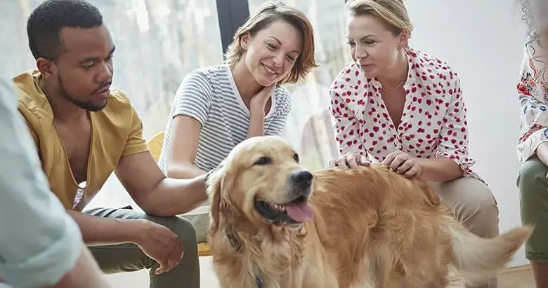 Perro asistiendo a persona con discapacidad