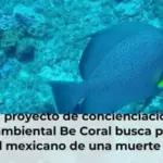El proyecto de concienciación medioambiental Be Coral busca proteger el coral mexicano de una muerte segura