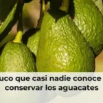 El truco que casi nadie conoce para conservar los aguacates 
