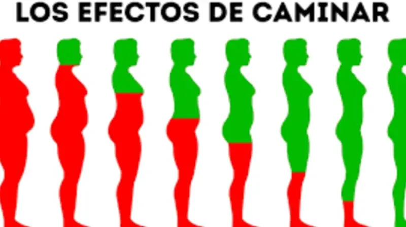 Esto es lo que le pasa a tu cuerpo si caminas una hora al día