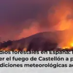 Incendios forestales en España: logran contener el fuego de Castellón a pesar de las condiciones meteorológicas adversas