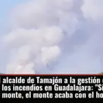 La crítica del alcalde de Tamajón a la gestión de los bosques tras los incendios en Guadalajara: