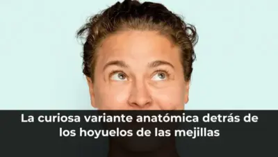La curiosa variante anatómica detrás de los hoyuelos de las mejillas