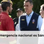 La emergencia nacional es Sánchez