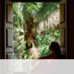 La hora rándom: La bioinspiración, cuando la naturaleza inspira la ingeniería