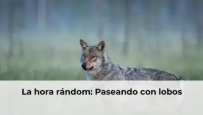 La hora rándom: Paseando con lobos