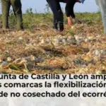 La Junta de Castilla y León amplía a nuevas comarcas la flexibilización de las zonas de no cosechado del ecorrégimen de biodiversidad