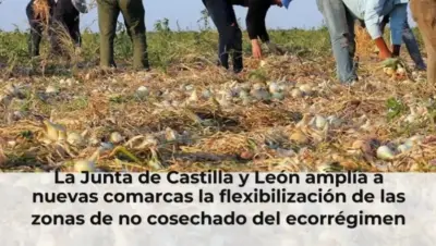 La Junta de Castilla y León amplía a nuevas comarcas la flexibilización de las zonas de no cosechado del ecorrégimen de