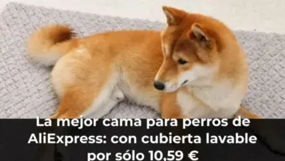 La mejor cama para perros de AliExpress: con cubierta lavable por sólo 10,59 €