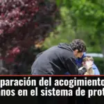 La otra separación del acogimiento: crecer sin hermanos en el sistema de protección