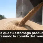 La urea que tu estómago produce está arrasando la comida del mundo