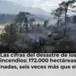 Las cifras del desastre de los incendios: 172.000 hectáreas calcinadas, seis veces más que el año pasado