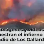 Las imágenes y vídeos que muestran el infierno del incendio de Los Gallardos en Almería