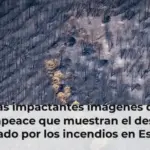 Las impactantes imágenes de Greenpeace que muestran el desastre causado por los incendios en España