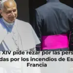 León XIV pide rezar por las personas afectadas por los incendios de España y Francia
