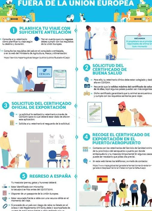 Lo que debes tener para viajar con perros y gatos en España según la nueva normativa