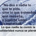 Lo que nadie te contó: la solidaridad nunca se pierde