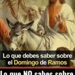 Lo que NO sabes sobre el Domingo de Ramos te sorprenderá