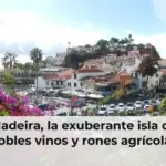 Madeira, la exuberante isla de nobles vinos y rones agrícolas