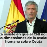Marlaska insiste en que el CNI no informó de las dimensiones de la avalancha humana sobre Ceuta