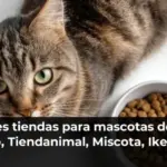 Mejores tiendas para mascotas de 2026: Kiwoko, Tiendanimal, Miscota, Ikea y más