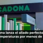 Mercadona lanza el aliado perfecto para las altas temperaturas por menos de 4 euros