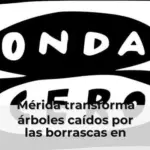 Mérida transforma árboles caídos por las borrascas en esculturas con memoria histórica